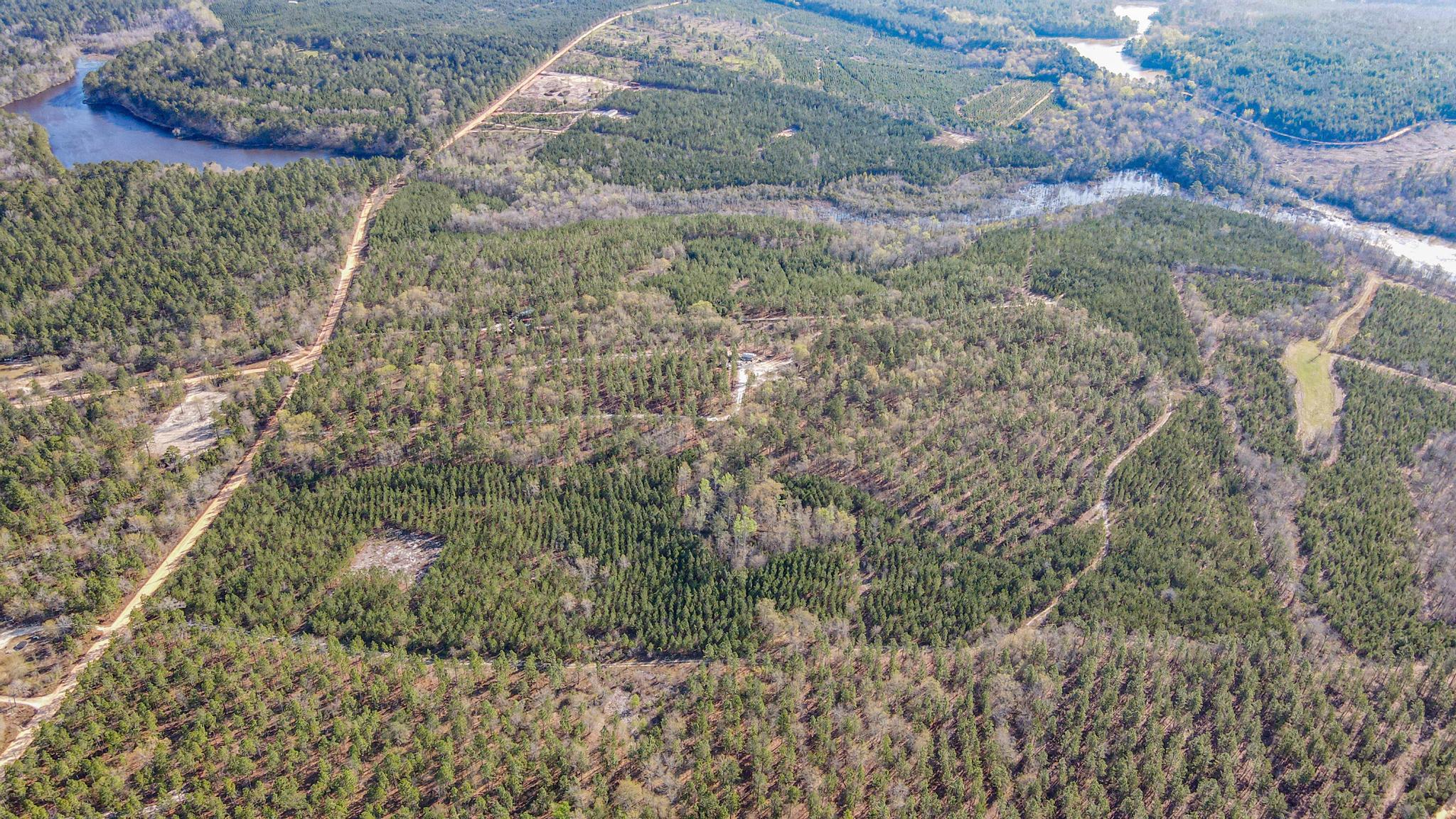 828 Hutto Pond Road Aiken, SC 29805 - Photo 7 of 10