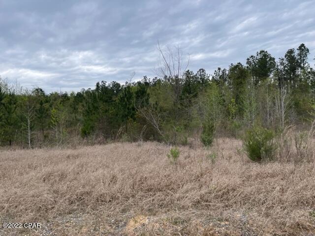 0 Gilberts Mill Road Cottondale, FL 32431 - Photo 5 of 10 Gallery Image 5