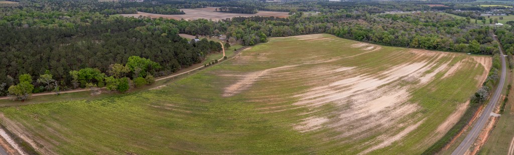3-acres Singletary Road Slocomb, AL 36375 - Photo 3 of 15