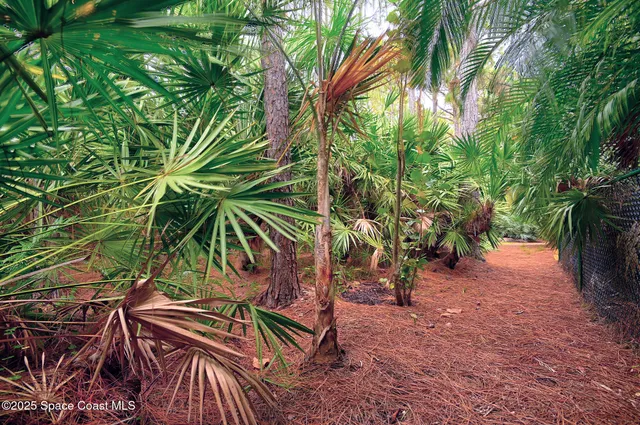 a view of a swimming pool with a garden