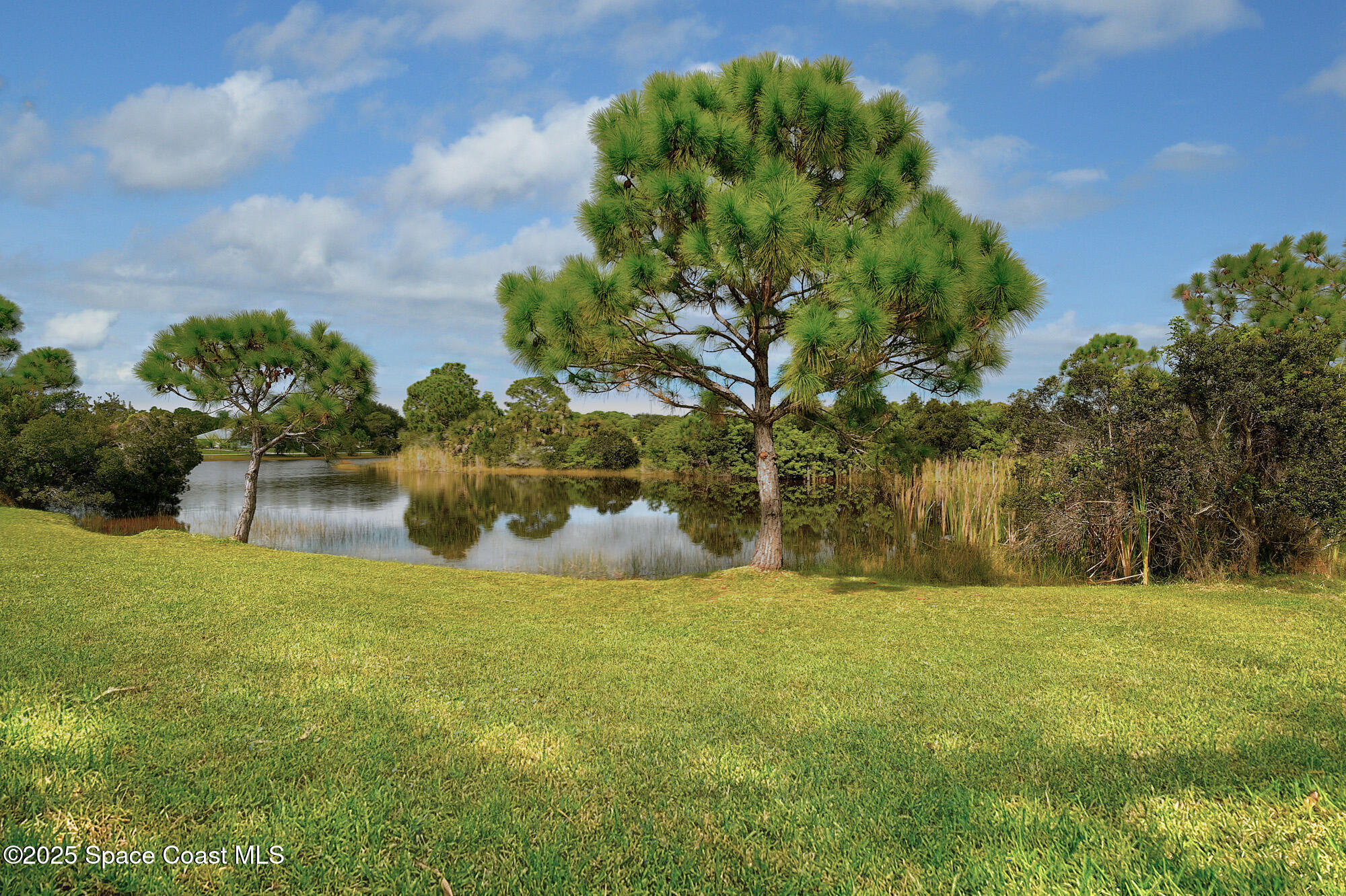 4580 Hunters Run Circle Grant, FL 32949 - Photo 20 of 55 a view of swimming pool