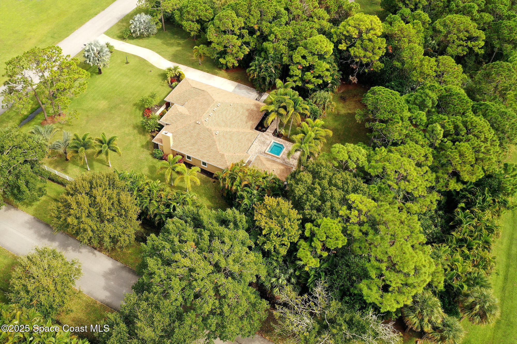 4580 Hunters Run Circle Grant, FL 32949 - Photo 5 of 55 a close up of a plant in a garden