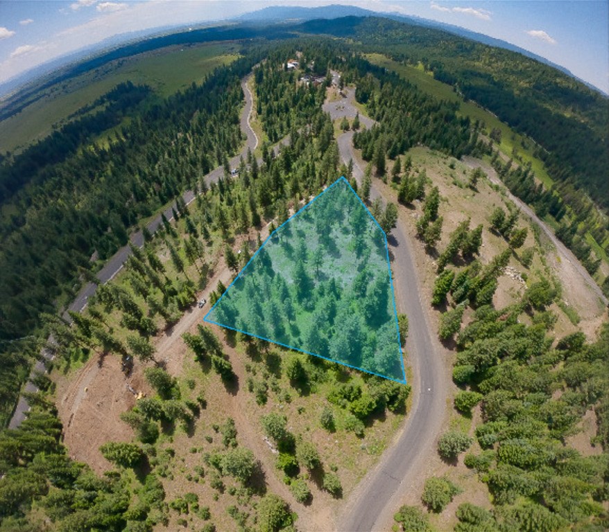 605 Migratory Rdg Way, Unit 45 McCall, ID 83638 - Photo 3 of 3