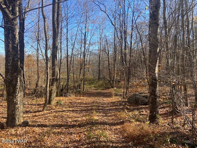 Rotten Road Equinunk, PA 18417 - Photo 7 of 8