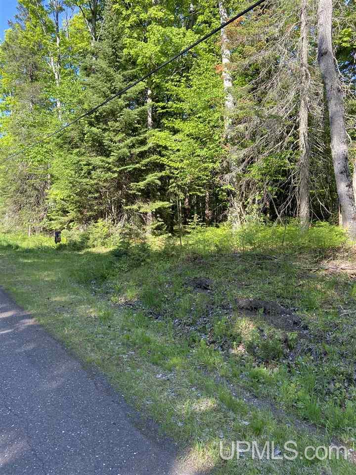 Tbd North Grosse Point Shores Road Dollar Bay, MI 49922 - Photo 2 of 16