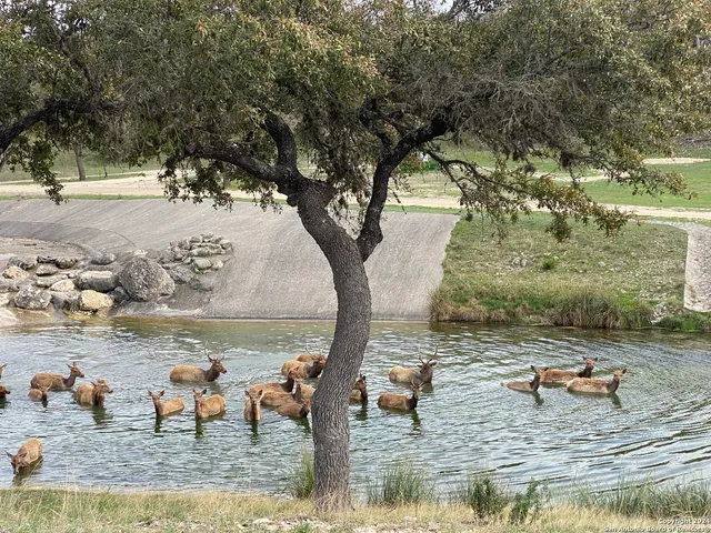 a view of a lake with trees