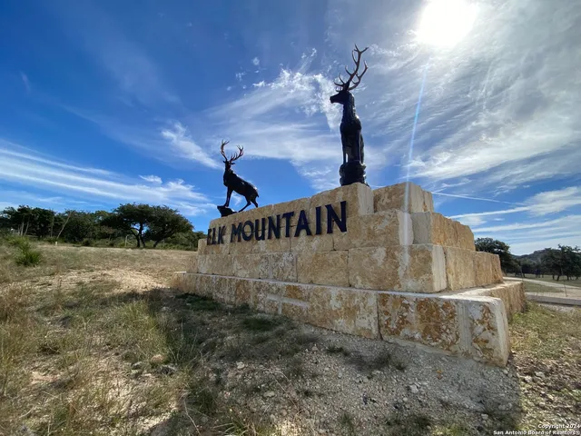 a backyard of a house with yard and tree