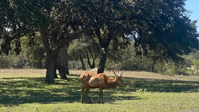 $1,400,000 | 56 West Red Stage, Pipe Creek, TX 78063