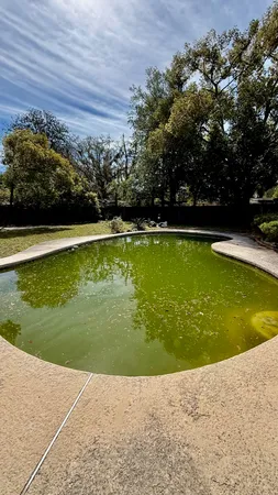 a view of a swimming pool with a garden