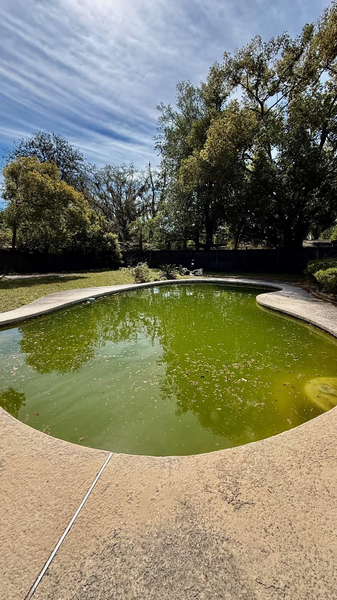 1763 Lawson Road Jacksonville, FL 32246 - Photo 4 of 4 a view of a swimming pool with a garden