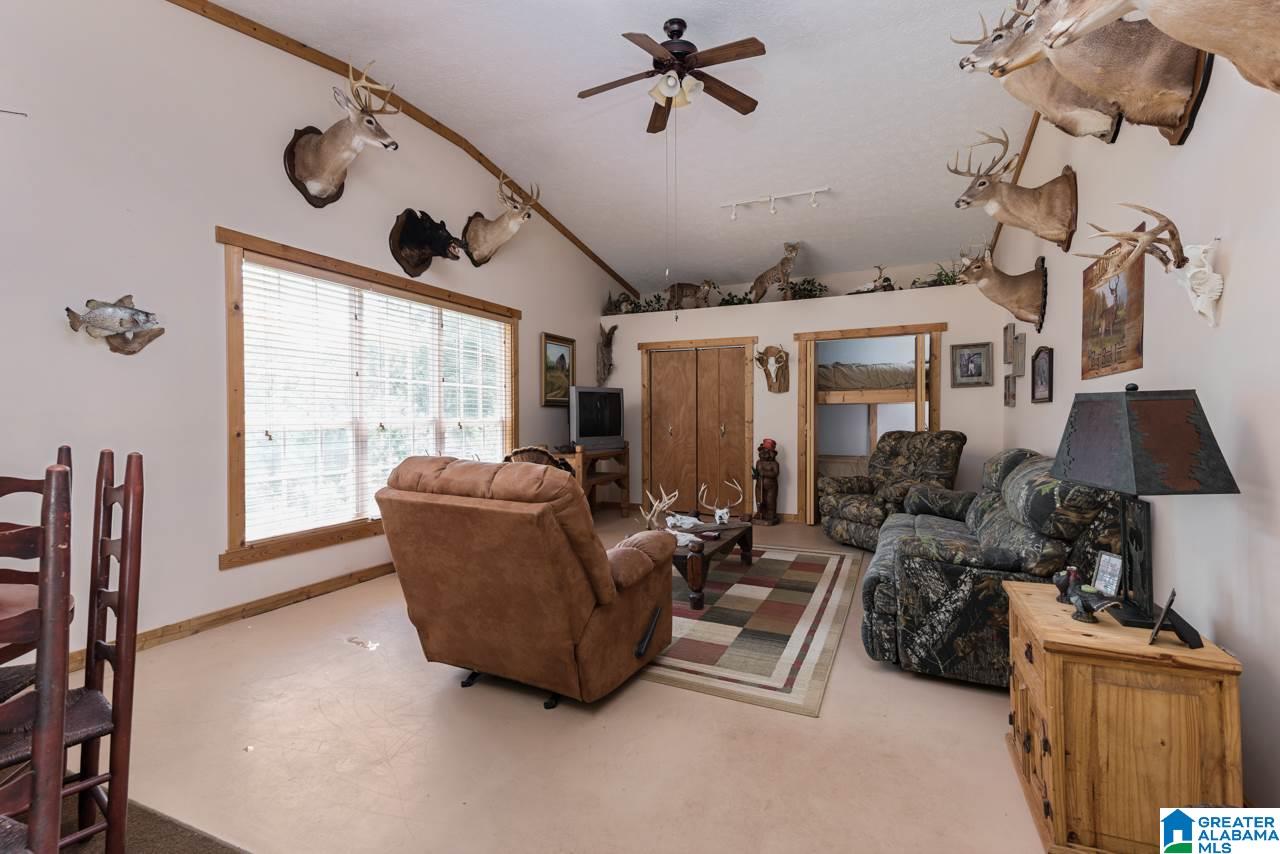 395 Rabbit Point Road Cropwell, AL 35054 - Photo 43 of 45