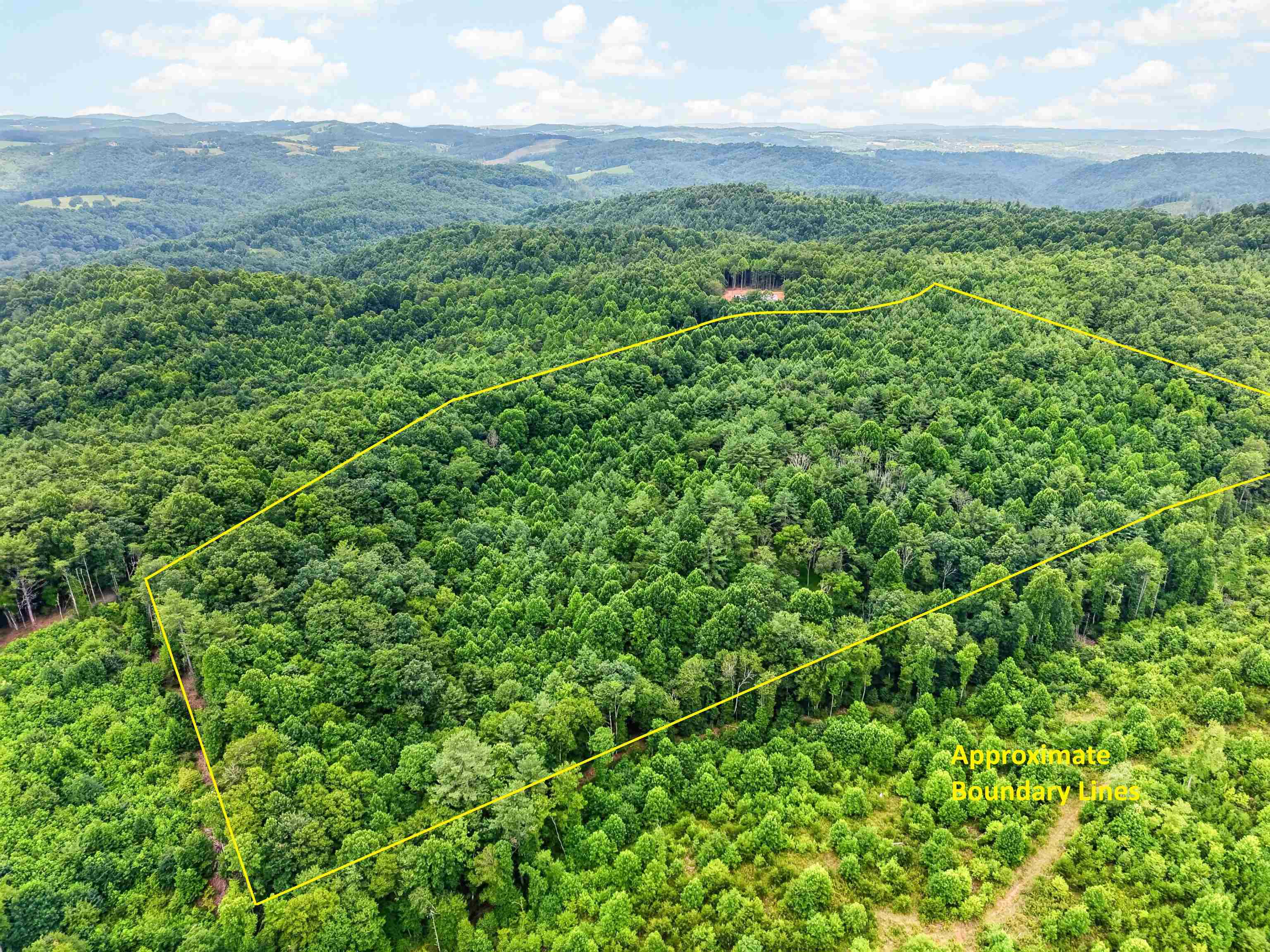 823 Marian Road Dugspur, VA 24325 - Photo 4 of 24 Gallery Image 4