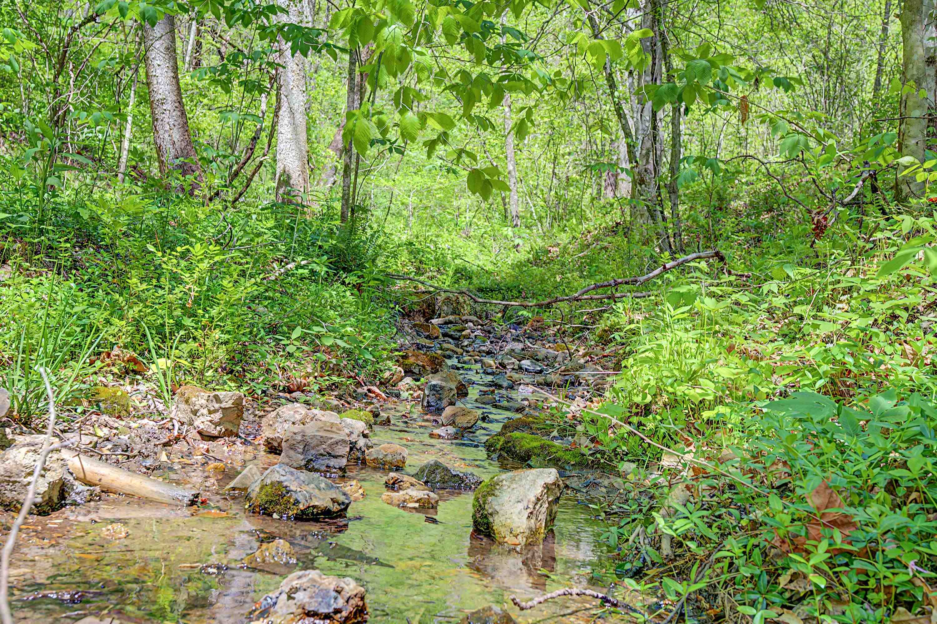 805 Sunset River Road Ceres, VA 24318 - Photo 61 of 78 Gallery Image 61