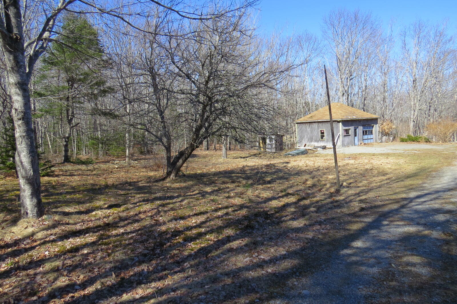 137 Seal Point Road Lamoine, ME 04605 - Photo 2 of 47 IMG_8781