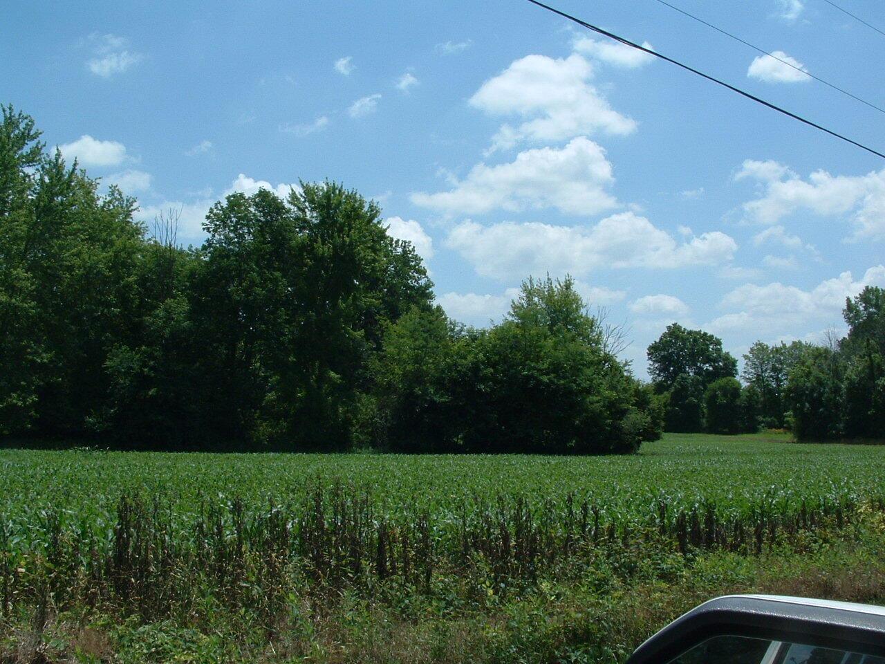 0 Clover Valley Road Northwest Johnstown, OH 43031 - Photo 8 of 16 DSCF0007