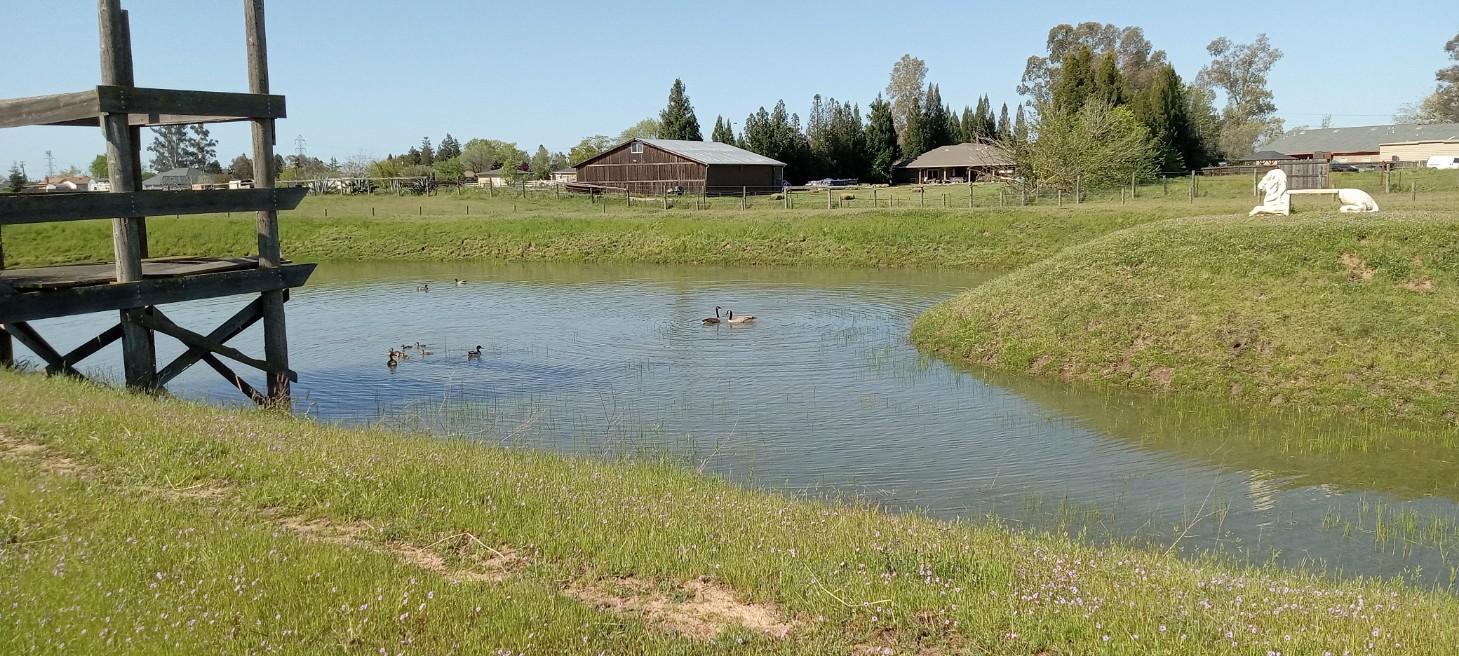 0 20th Street Rio Linda, CA 95673 - Photo 6 of 9