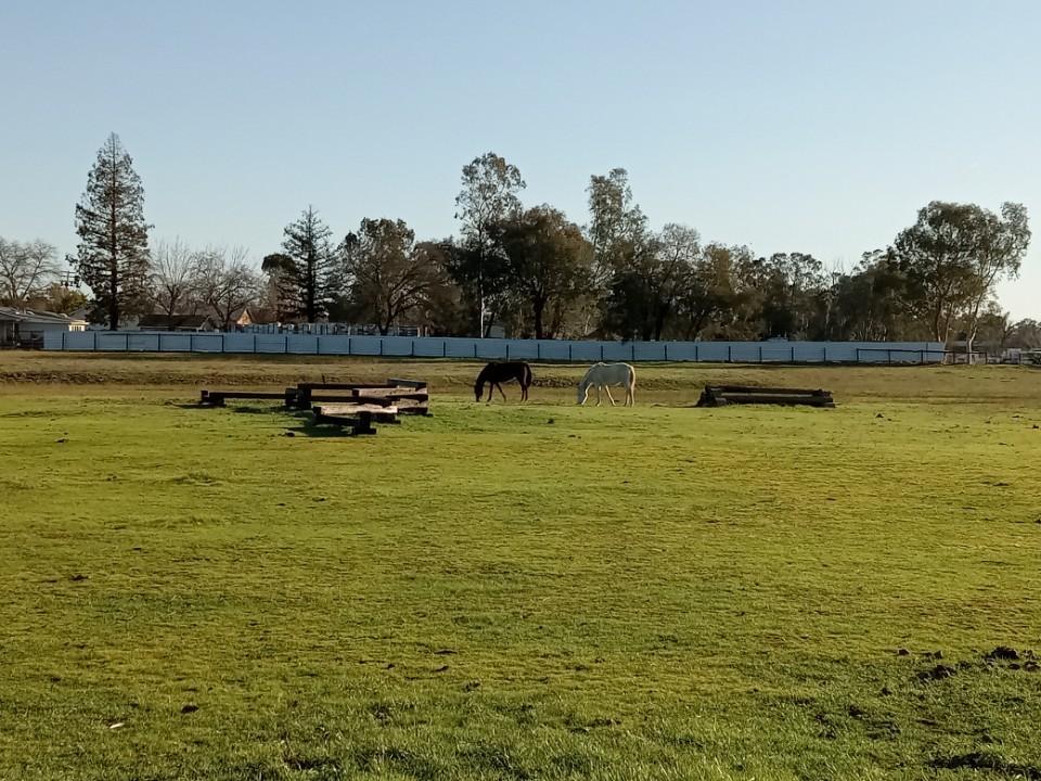 0 20th Street Rio Linda, CA 95673 - Photo 8 of 9