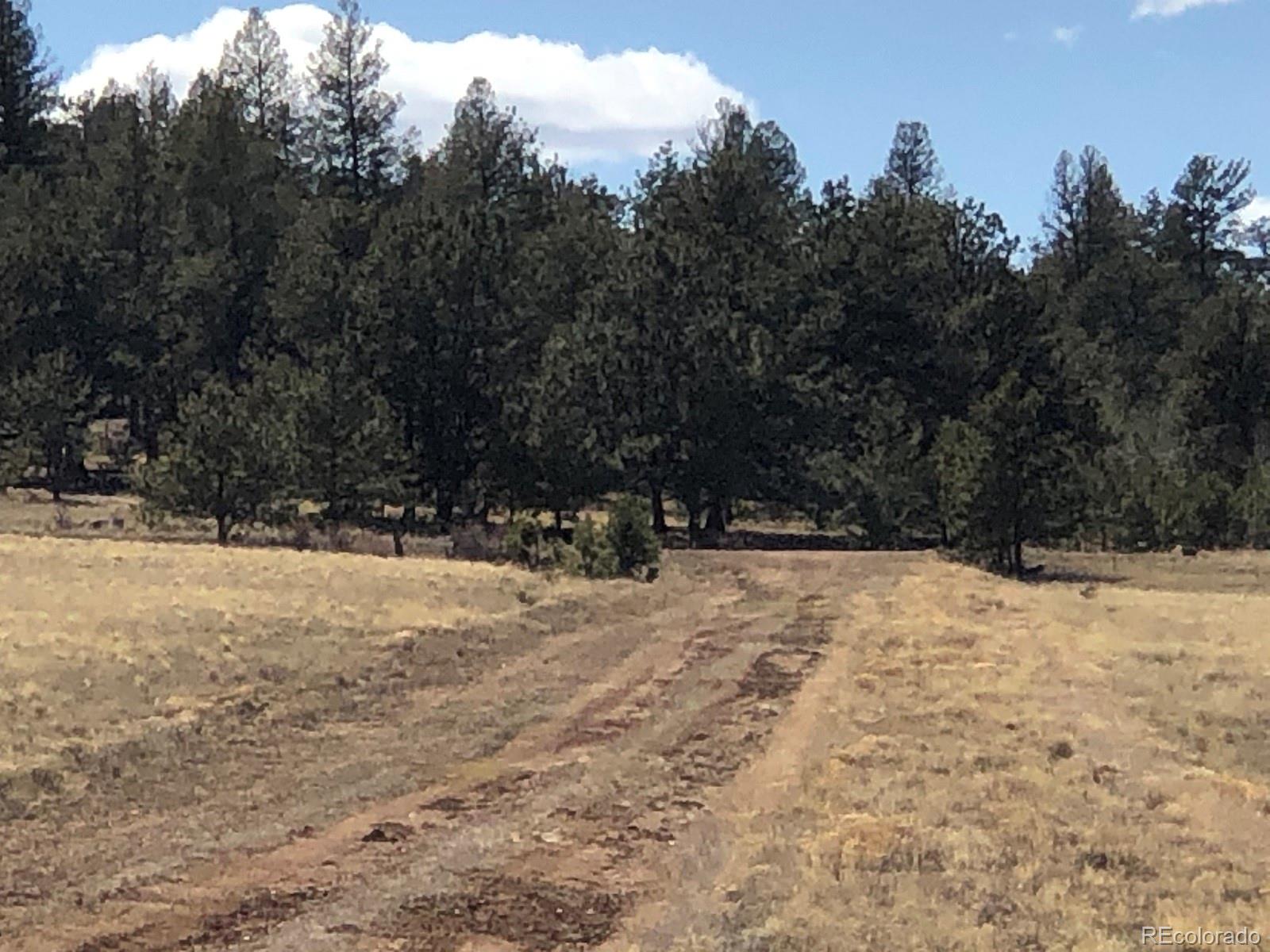 2251 Mesa Road Hartsel, CO 80449 - Photo 11 of 18 Gallery Image 11