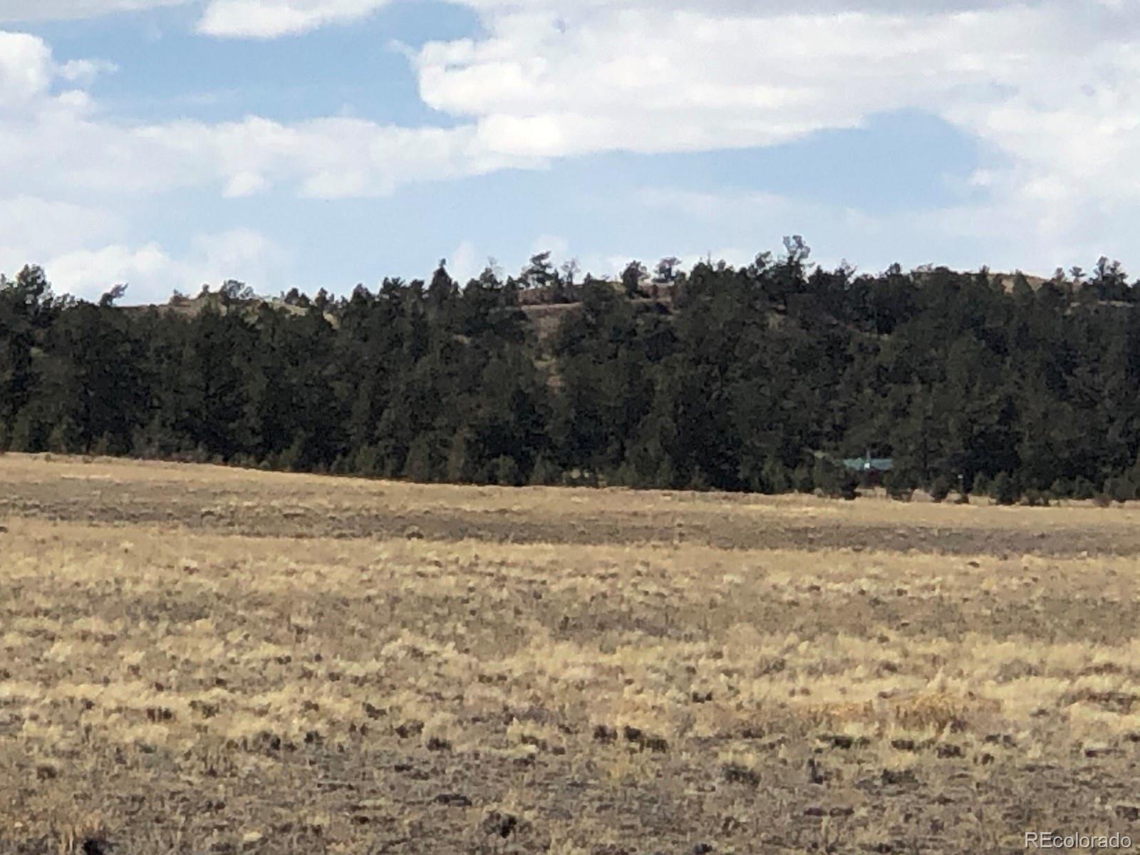 2251 Mesa Road Hartsel, CO 80449 - Photo 12 of 18 Gallery Image 12