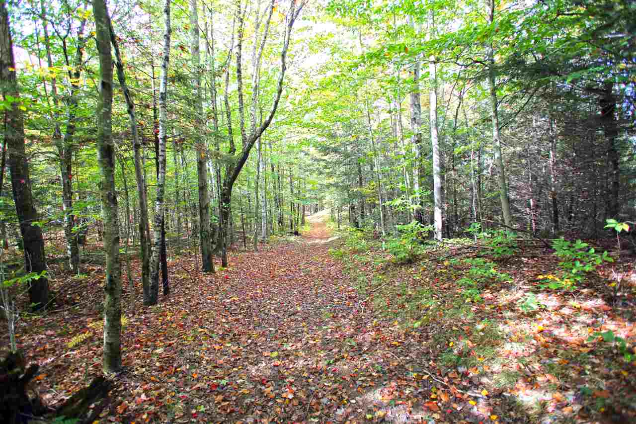 109 Anderson Road Alstead, NH 03602 - Photo 16 of 40