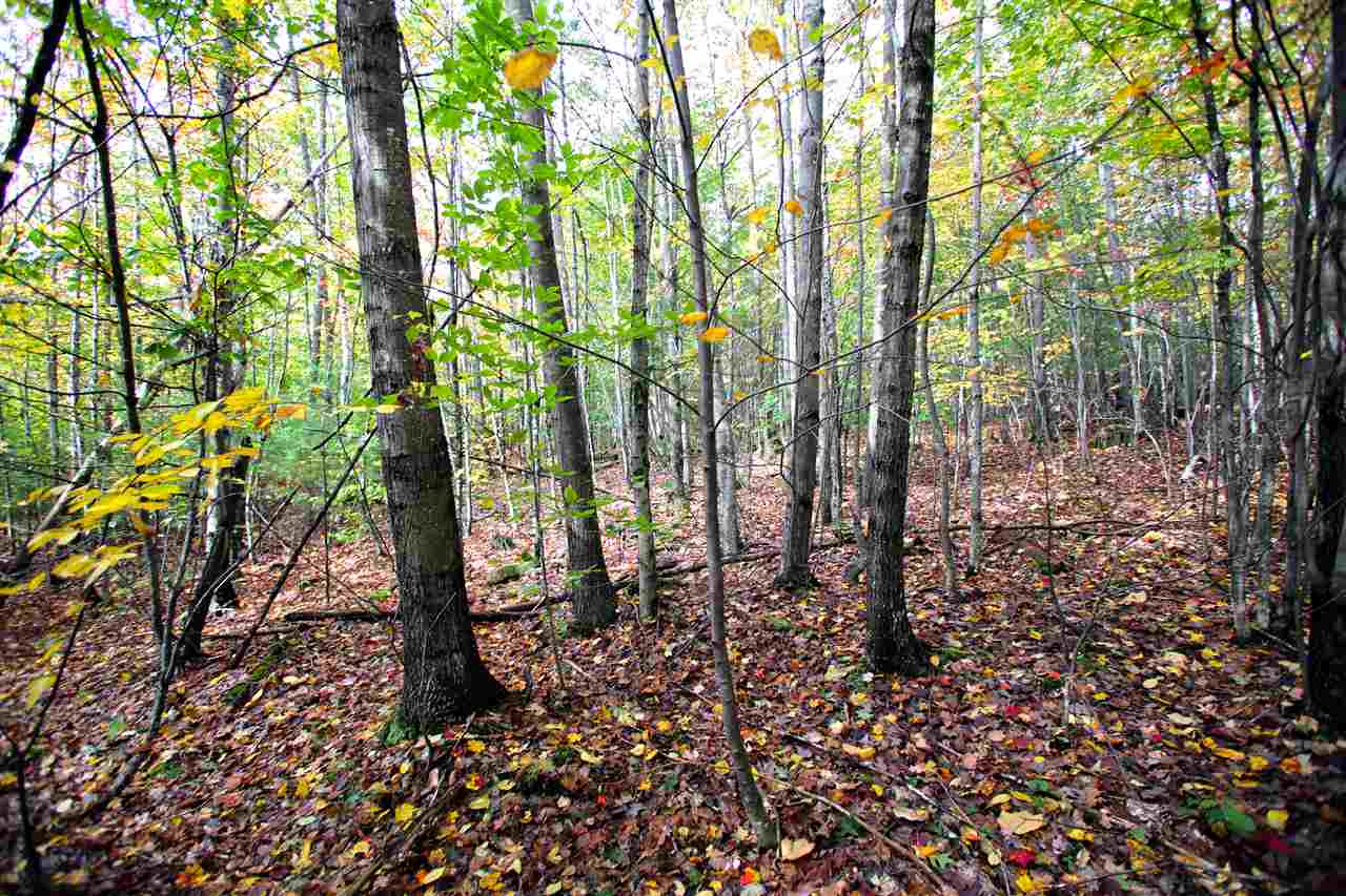 109 Anderson Road Alstead, NH 03602 - Photo 25 of 40