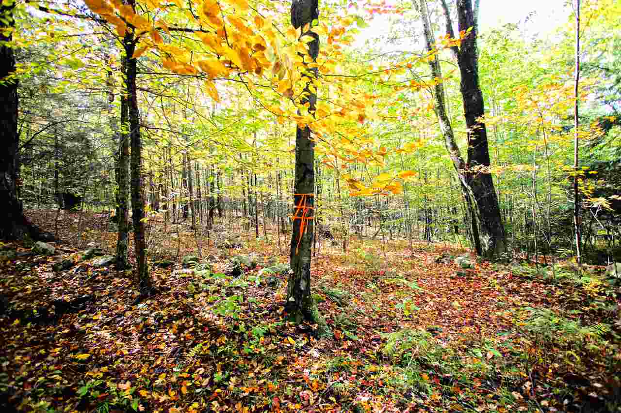 109 Anderson Road Alstead, NH 03602 - Photo 27 of 40