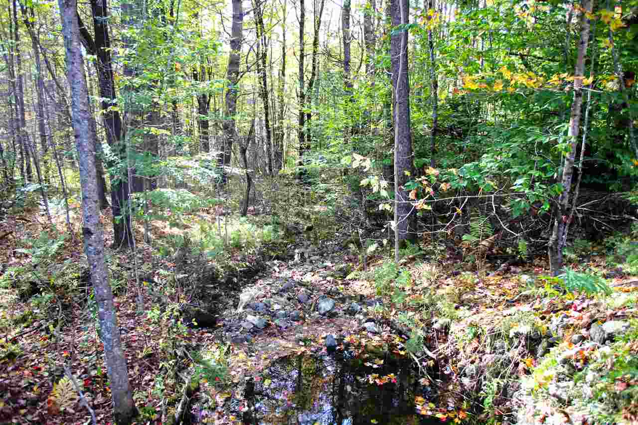 109 Anderson Road Alstead, NH 03602 - Photo 33 of 40