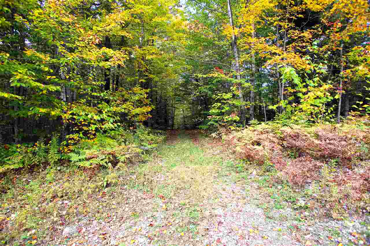 109 Anderson Road Alstead, NH 03602 - Photo 36 of 40