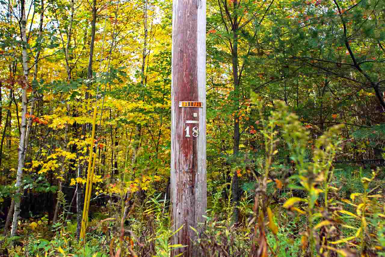 109 Anderson Road Alstead, NH 03602 - Photo 40 of 40