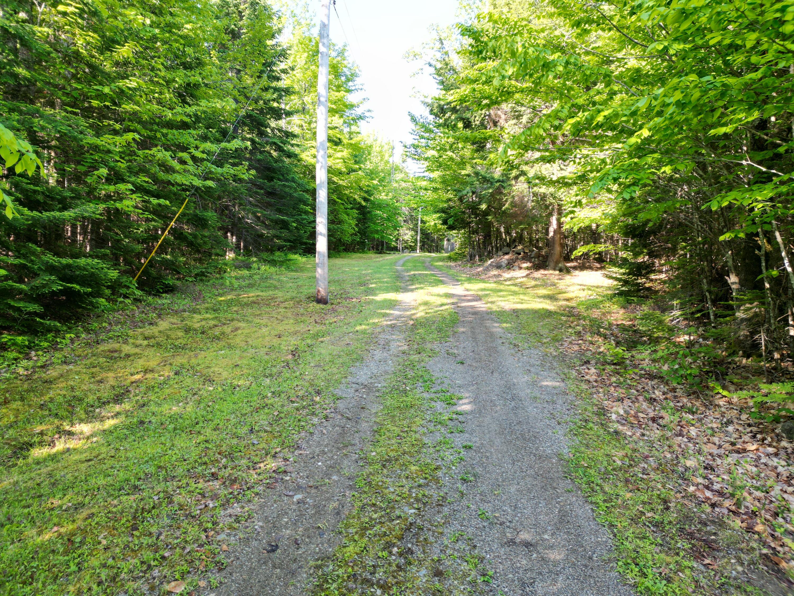168 Tucker Ridge Road Springfield, ME 04487 - Photo 46 of 59 DJI_0105