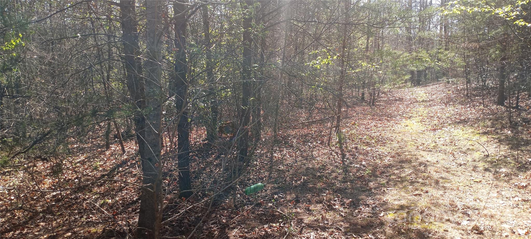 Lot 5 Lane Street, Unit 5 Morganton, NC 28655 - Photo 3 of 5