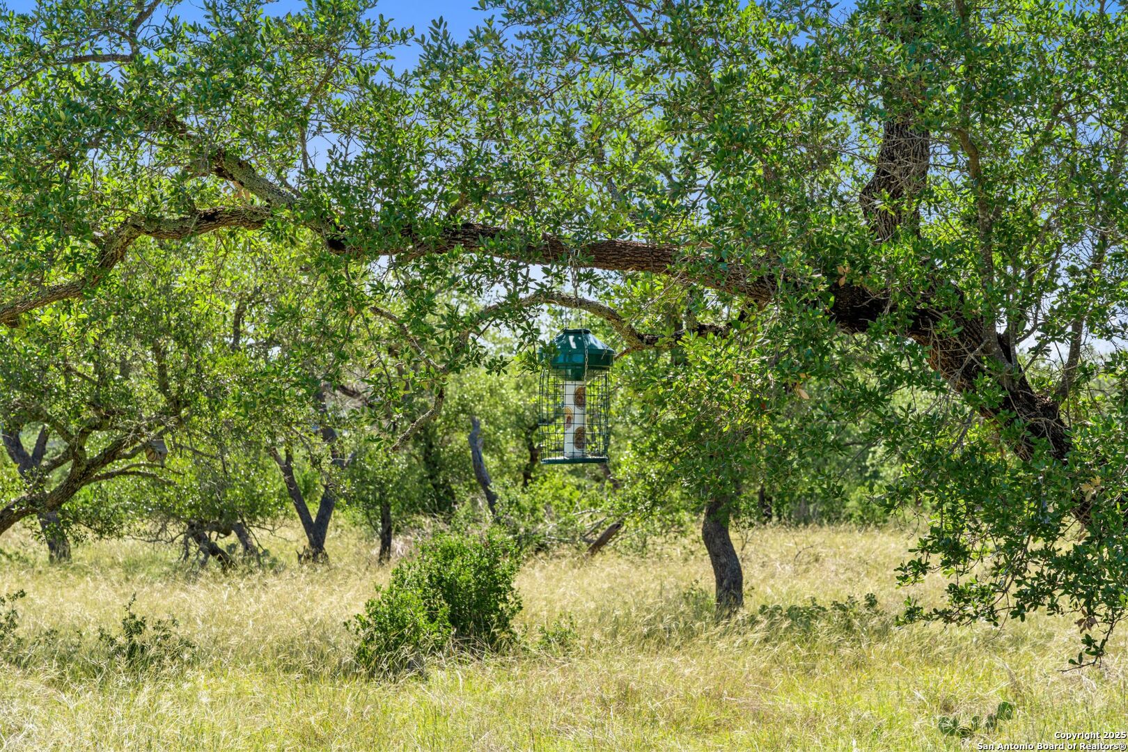 620 Rio Vista Road Johnson City, TX 78636 - Photo 15 of 37