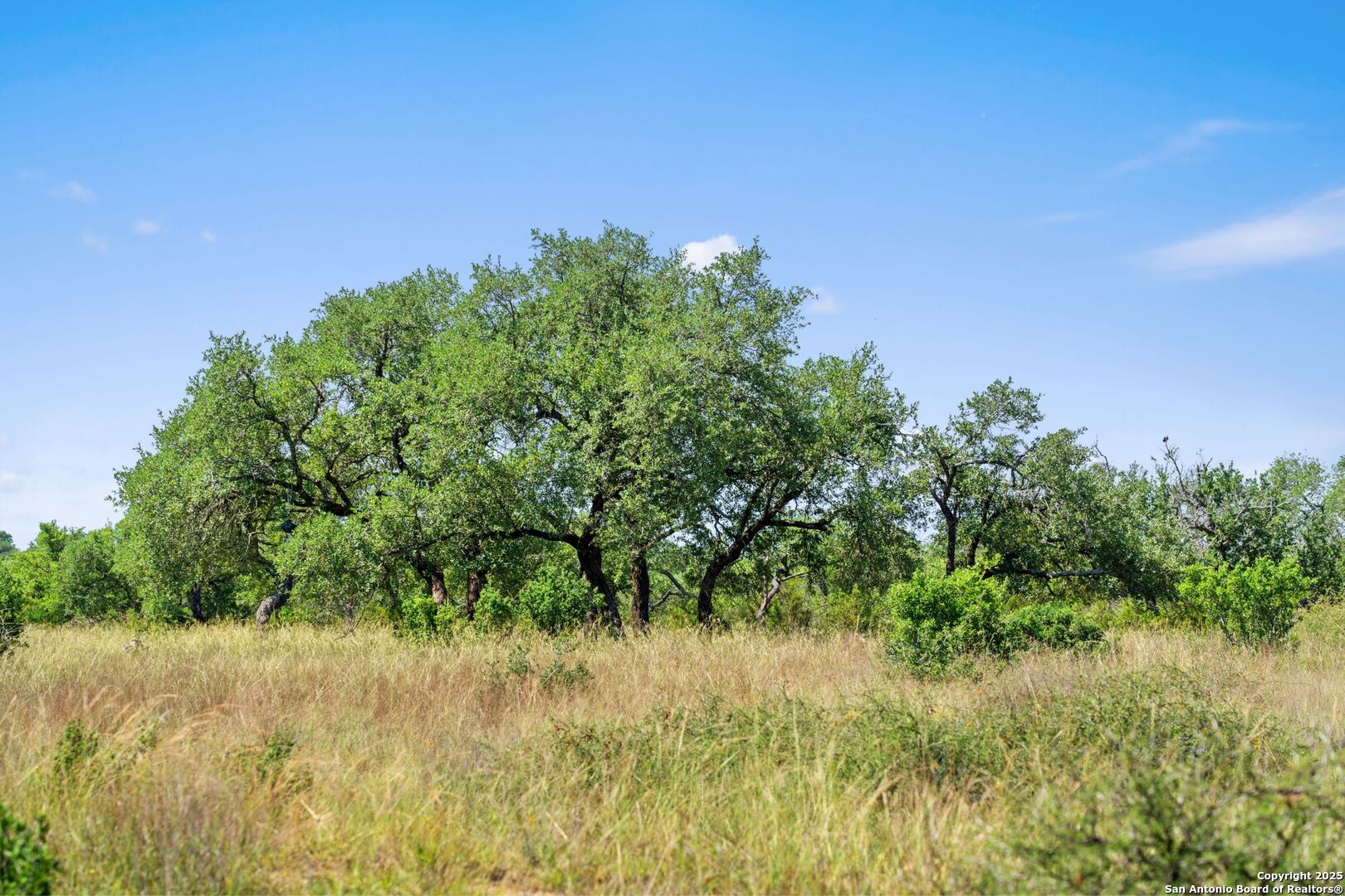 620 Rio Vista Road Johnson City, TX 78636 - Photo 16 of 37