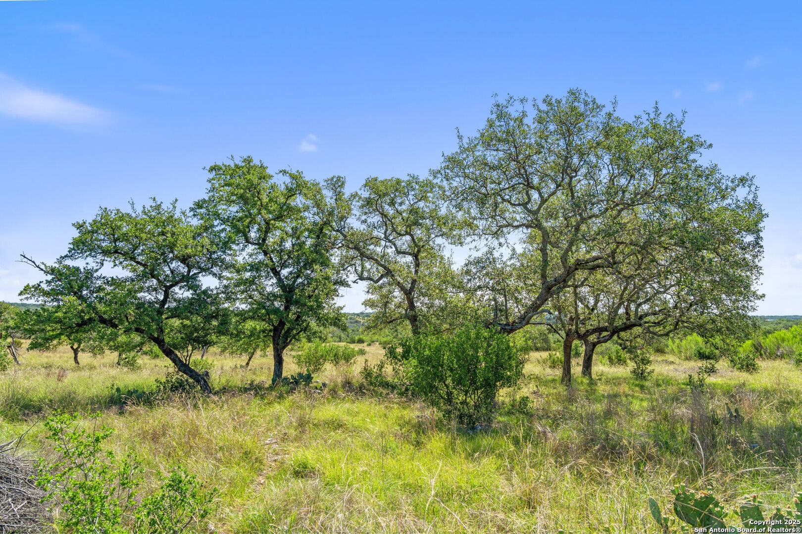 620 Rio Vista Road Johnson City, TX 78636 - Photo 23 of 37