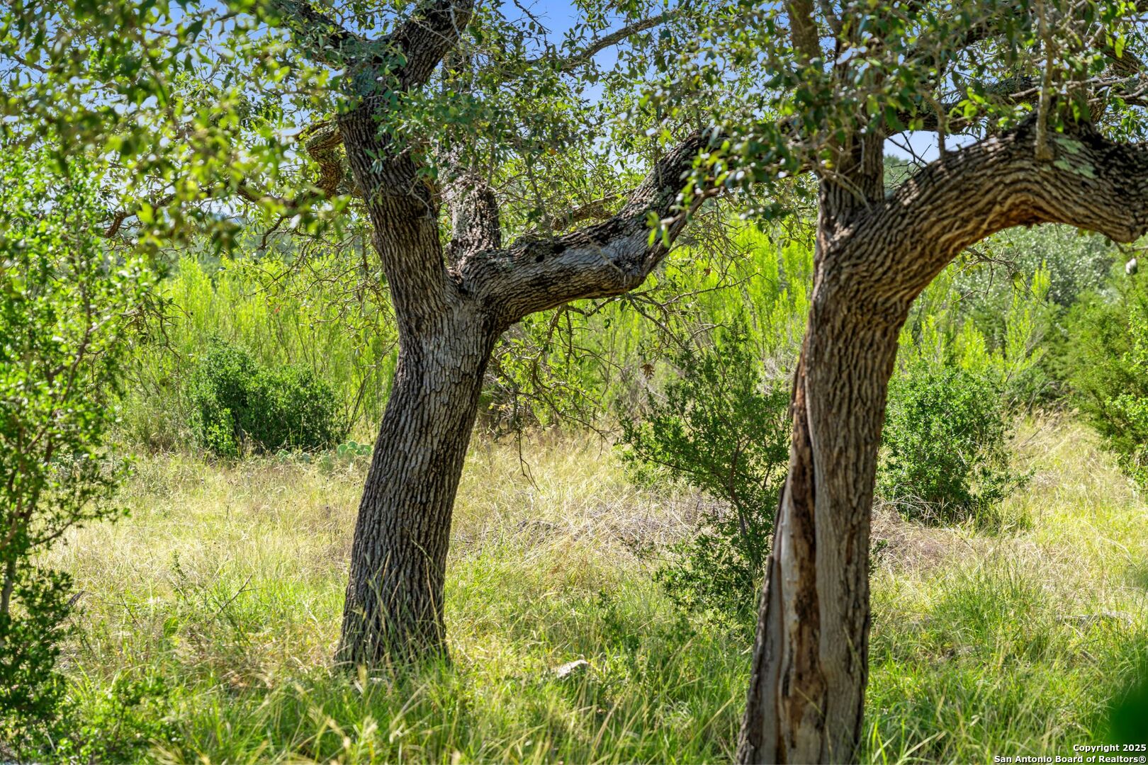620 Rio Vista Road Johnson City, TX 78636 - Photo 24 of 37