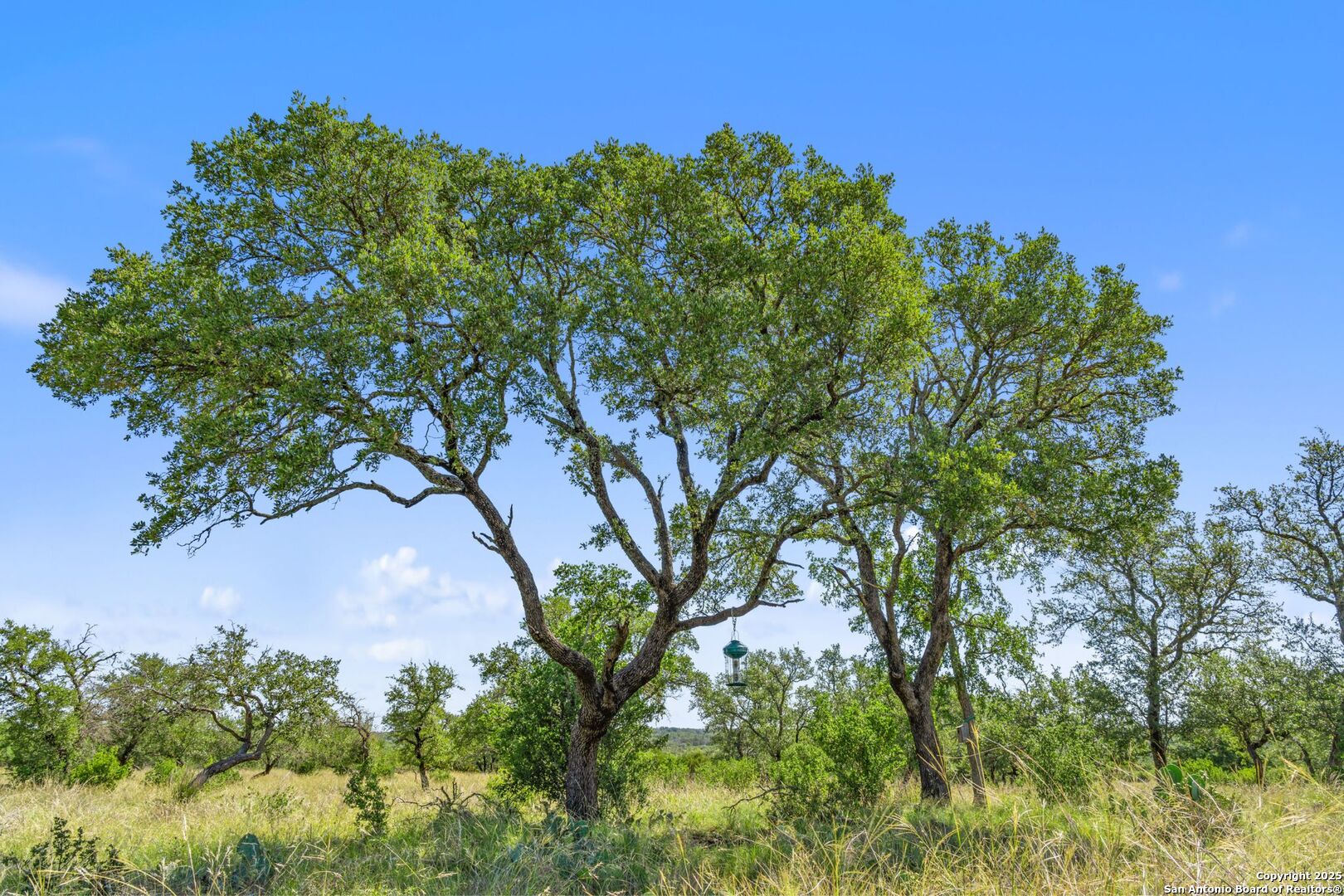 620 Rio Vista Road Johnson City, TX 78636 - Photo 29 of 37