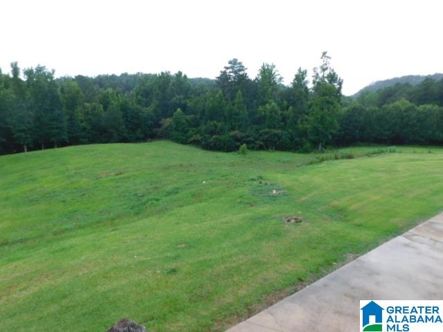 2834 Empire Road Empire, AL 35063 - Photo 37 of 39