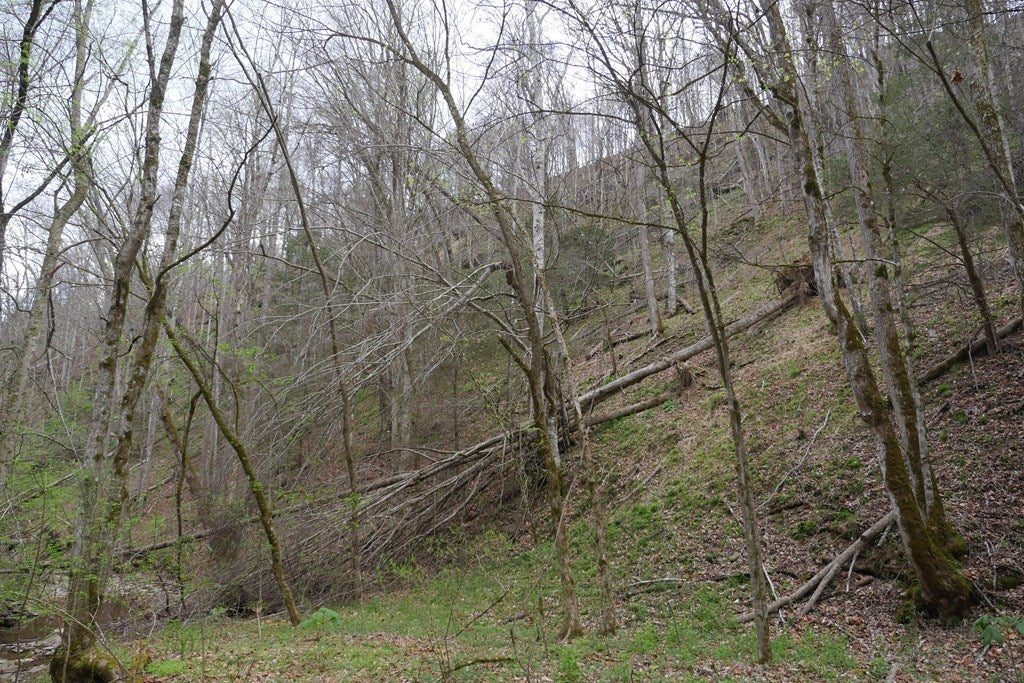 Tbd Fowlers Br Road, Unit 1 Hiltons, VA 24258 - Photo 18 of 30 Gallery Image 18