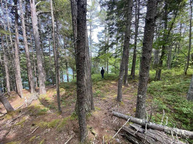 $349,900 | 13 Porcupine Lane, Westport Island, ME 04578