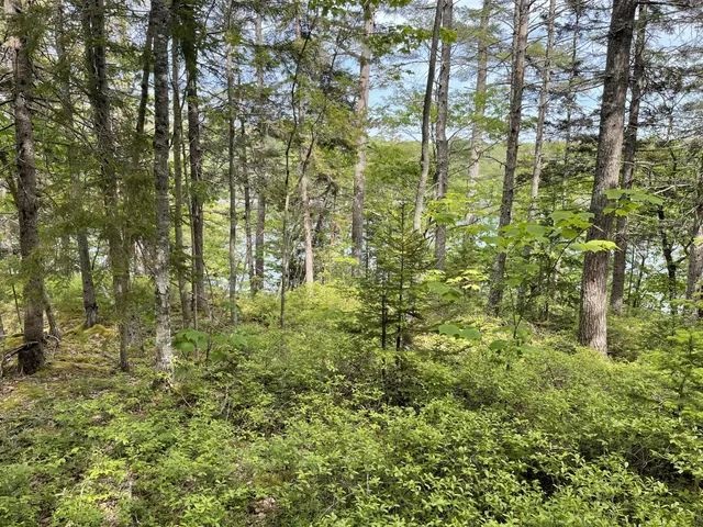 $349,900 | 13 Porcupine Lane, Westport Island, ME 04578