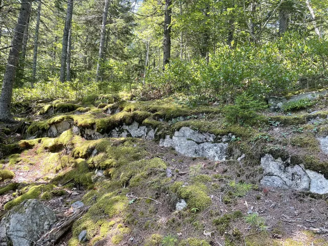 $349,900 | 13 Porcupine Lane, Westport Island, ME 04578