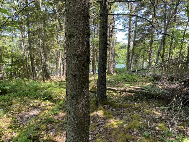 $349,900 | 13 Porcupine Lane, Westport Island, ME 04578