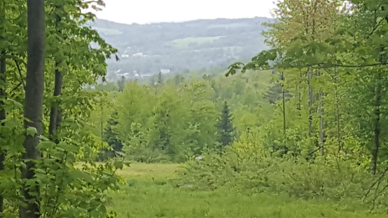 783 Dexter Mountain Road, Unit 3A Glover, VT 05839 - Photo 1 of 7