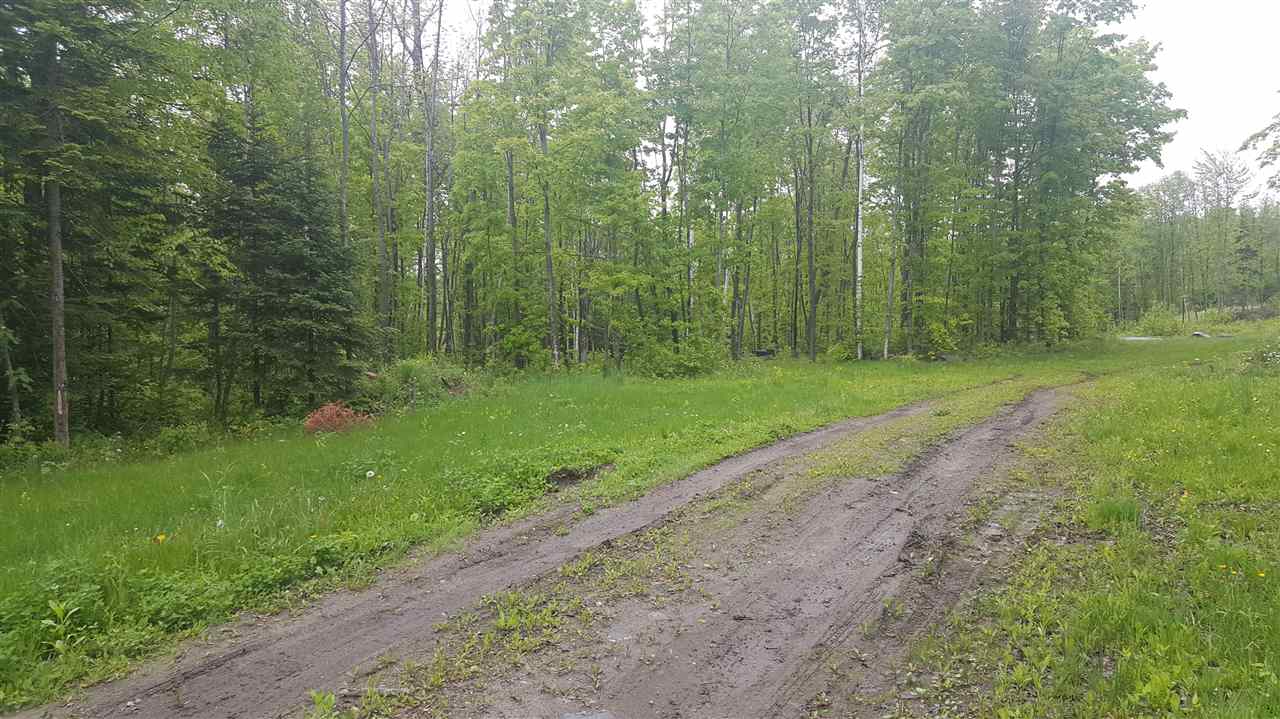 783 Dexter Mountain Road, Unit 3A Glover, VT 05839 - Photo 2 of 7