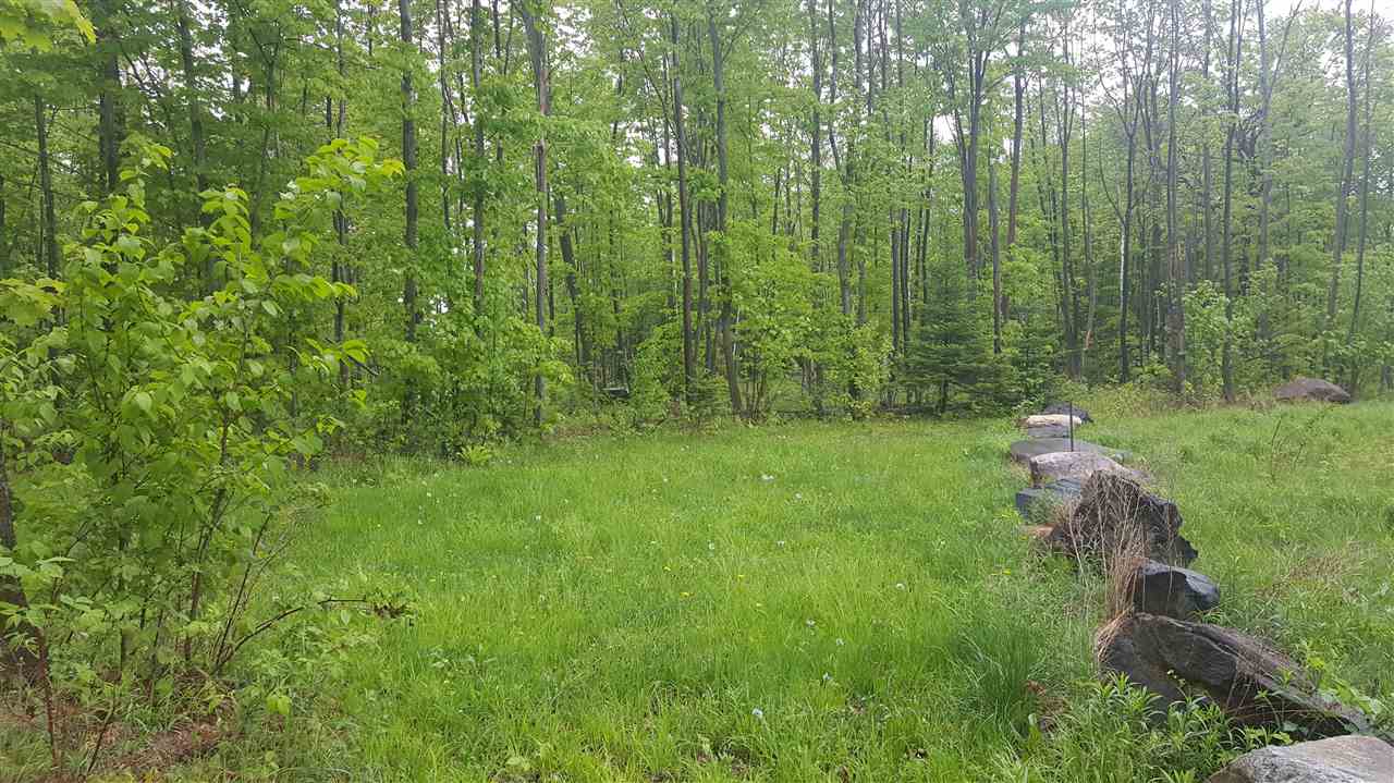783 Dexter Mountain Road, Unit 3A Glover, VT 05839 - Photo 3 of 7
