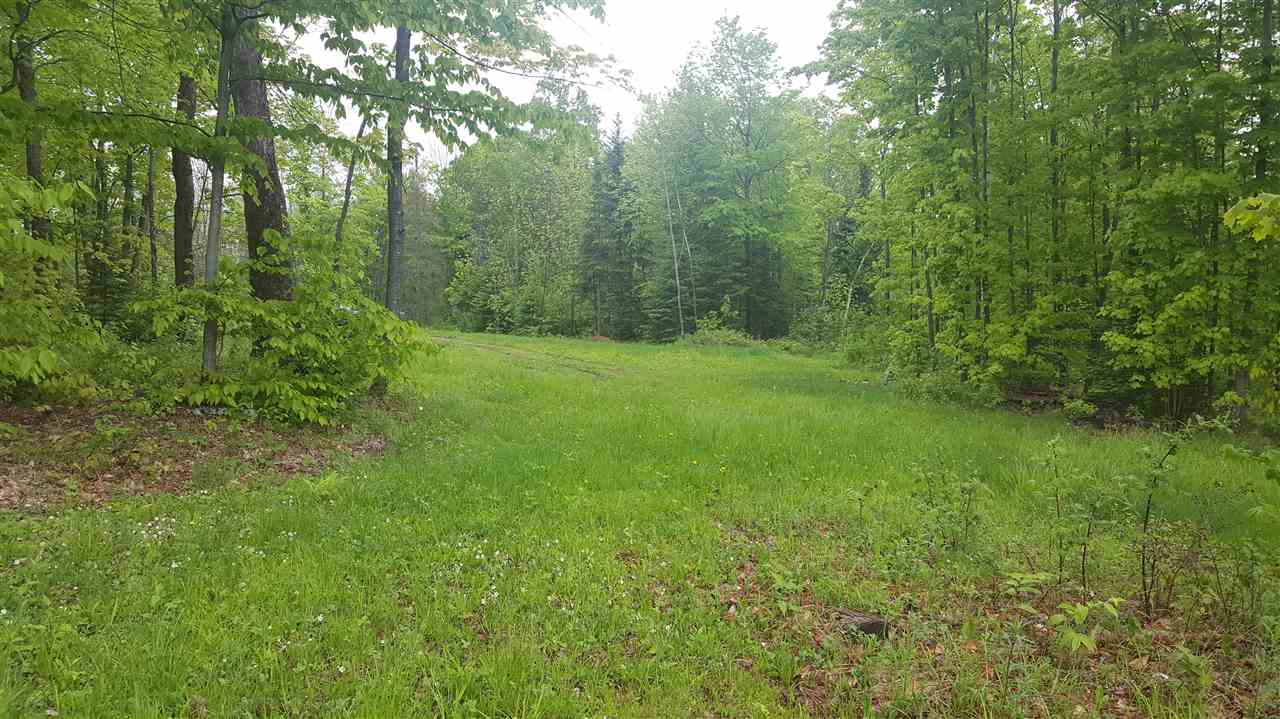 783 Dexter Mountain Road, Unit 3A Glover, VT 05839 - Photo 4 of 7