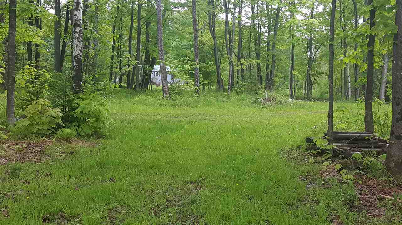 783 Dexter Mountain Road, Unit 3A Glover, VT 05839 - Photo 5 of 7