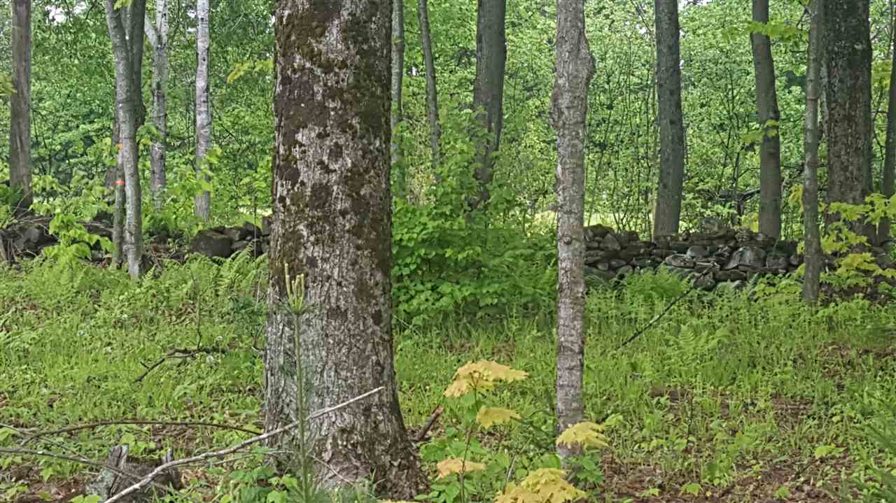 783 Dexter Mountain Road, Unit 3A Glover, VT 05839 - Photo 6 of 7