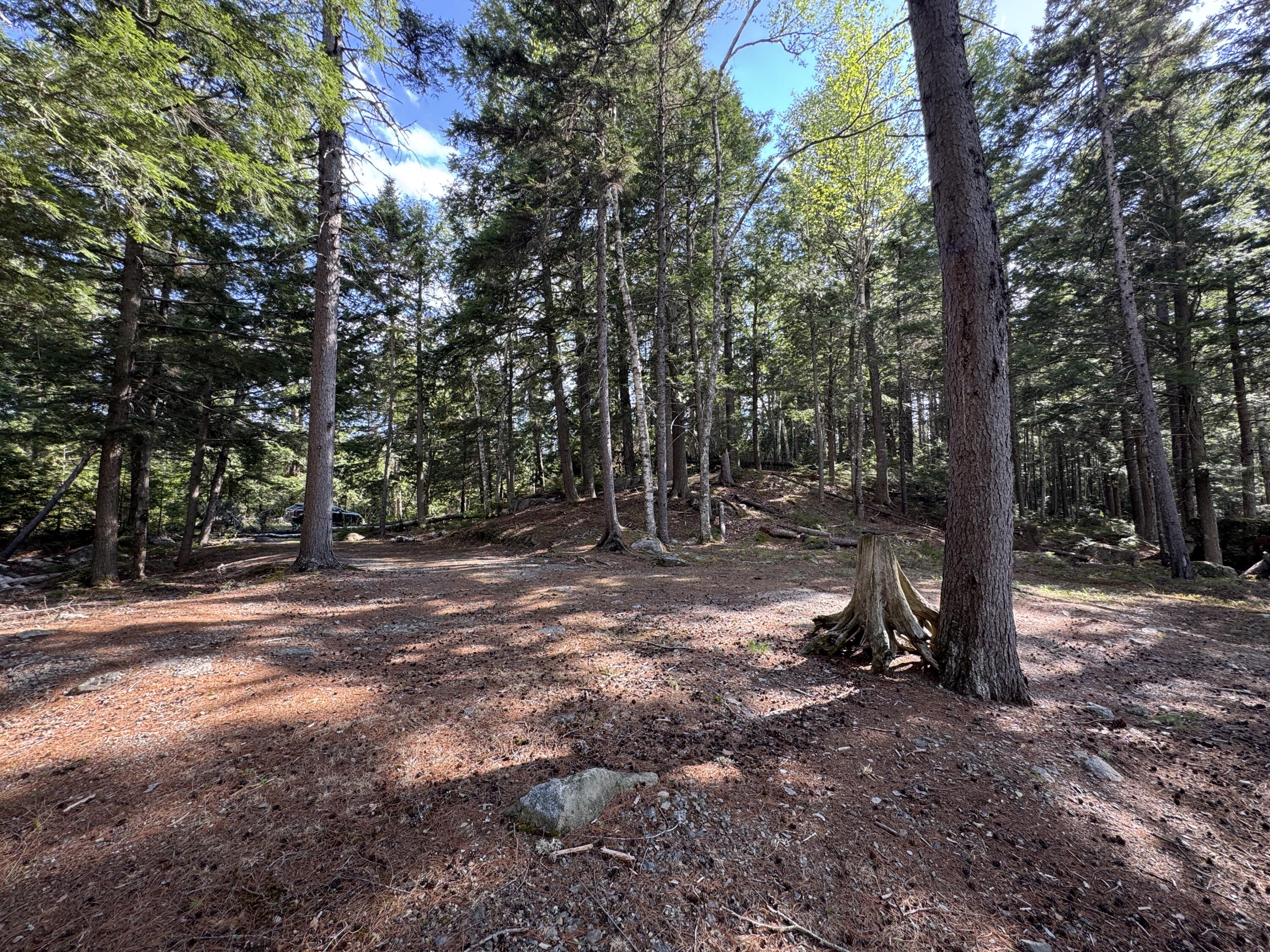 0 Elbow Lake Road Millinocket, ME 04462 - Photo 14 of 33 IMG_0426