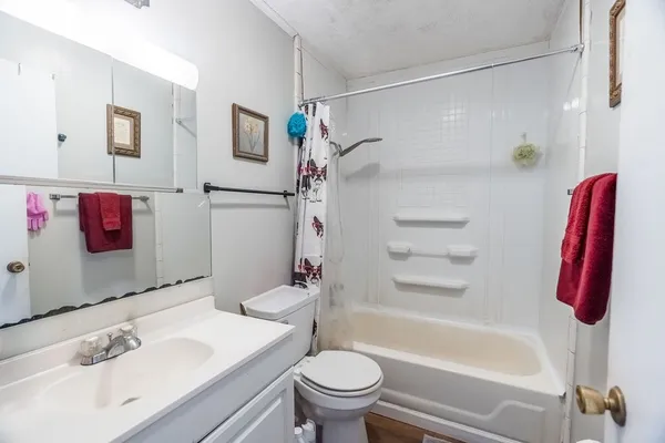 a bathroom with a sink a toilet and a bathtub